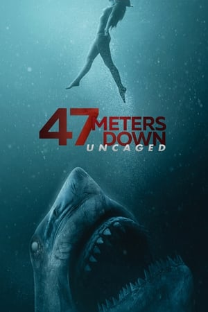 47 Meters Down: Uncaged (2019) Hindi Dual Audio [950MB]