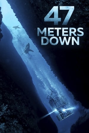 47 Metres Down (2017) Hindi Dual Audio [850MB] Movie Poster