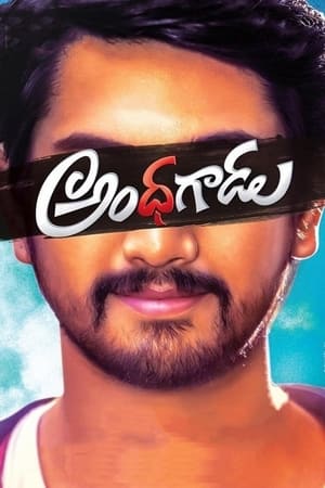 Andhhagadu 2017 Hindi Dual Audio [1.4GB] Movie Poster