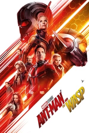 Ant-Man and the Wasp 2018 Movie (English) [900MB] Movie Poster