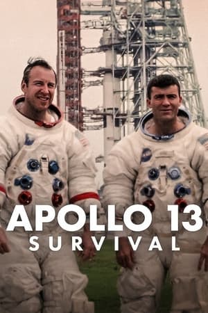 Apollo 13: Survival (2024) Hindi Dual Audio – 720p – Movie Poster