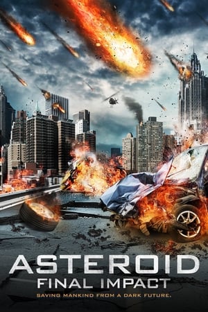 Asteroid: Final Impact (2015) Hindi Dual Audio [1.1GB] Movie Poster