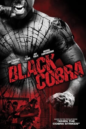 Black Cobra (2012) Hindi Dual Audio 300MB Movie Poster
