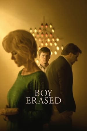Boy Erased (2018) Hindi Dual Audio [900MB] Movie Poster
