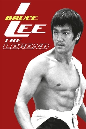 Bruce Lee the Legend 1984 Hindi Dual Audio HDTVRip 300MB Movie Poster