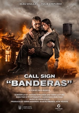 Call Sign Banderas (2018) Hindi Dual Audio – Movie Poster