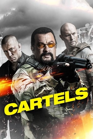 Cartels 2017 Hindi Dual Audio 300MB Movie Poster
