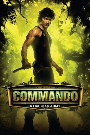 Commando (2013) Hindi [450MB] Movie Poster