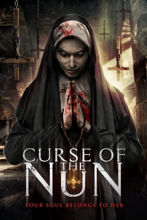 Curse of the Nun (2019) Hindi Dual Audio 260MB Movie Poster
