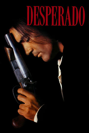 Desperado 1995 Hindi Dual Audio 300MB Movie Poster
