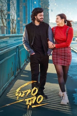 Dhoom Dhaam 2024 Telugu Dubbed Movie Poster