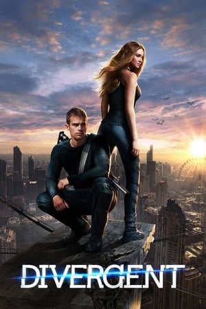 Divergent (2014) 100mb Hindi Dual Audio movie Download