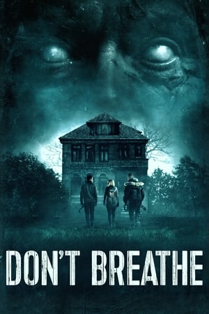 Don't Breathe (2016) Hindi Dual Audio [850MB] Movie Poster