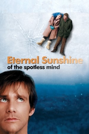 Eternal Sunshine Of The Spotless Mind 2004 Hindi Dual Audio 300MB Movie Poster