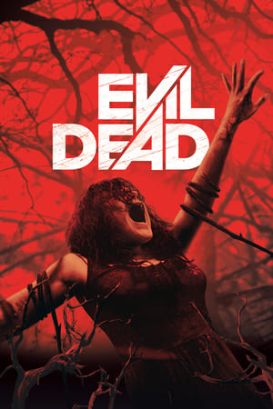 Evil Dead 2013 Hindi Dual Audio [760MB] Movie Poster
