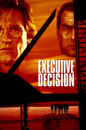 Executive Decision (1996) Hindi Dual Audio [1GB] Movie Poster