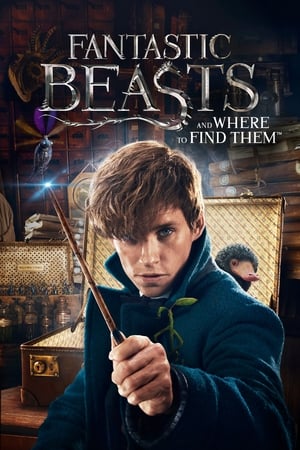 Fantastic Beasts and Where to Find Them 2016 Full Movie HC [] [1GB] Movie Poster