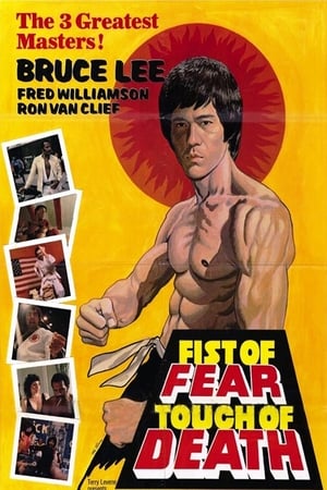 Fist of Fear Touch of Death 1980 Hindi Dual Audio [1GB] Movie Poster
