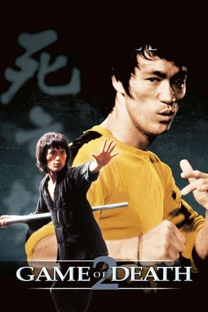 Game of Death II (1981) Dual Audio Hindi 300MB Movie Poster