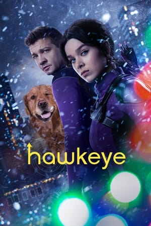 HawkEye (2021) Season 1 Dual Audio Hindi – – [1- 6 Episodes] Movie Poster