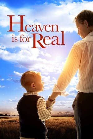 Heaven Is for Real (2014) Hindi Dual Audio 300MB Movie Poster