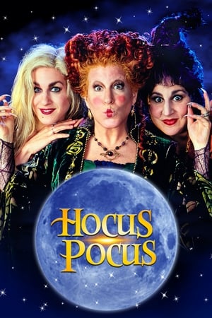 Hocus Pocus 1993 Hindi Dual Audio [850MB] Movie Poster