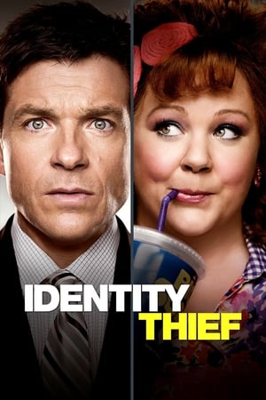Identity Thief (2013) Hindi Dual Audio 350MB Movie Poster