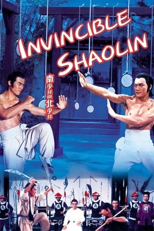 Invincible Shaolin 1978 Hindi Dual Audio 300MB Movie Poster