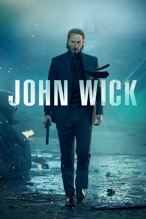 John Wick (2014) Hindi Dual Audio [900MB] ESubs Movie Poster