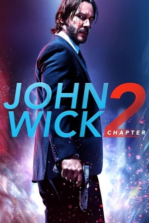 john Wick Chapter 2 (2017) Dual Audio Hindi Movie - 1.1GB Movie Poster