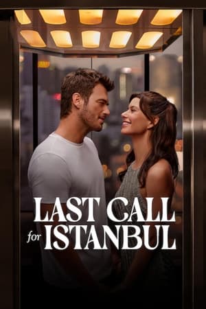 Last Call for Istanbul 2023 Hindi Dual Audio – Movie Poster