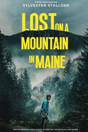 Lost on a Mountain in Maine 2024 Hindi Subbed Movie Poster