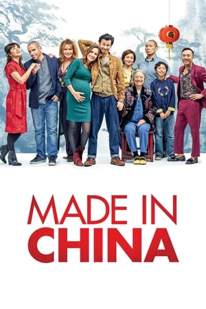 Made in China (2019) Hindi Movie - [340MB] Movie Poster