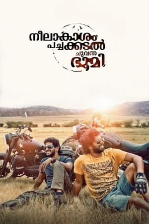 Neelakasham Pachakadal Chuvanna Bhoomi (2013) Hindi Dubbed 450MB Movie Poster