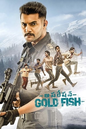 Operation Gold Fish 2019 (Hindi - Telugu) Dual Audio [1GB] Movie Poster