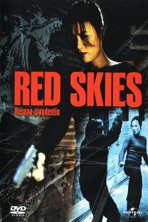 Red Skies 2002 Dual Audio (Hindi) [] 800MB Movie Poster