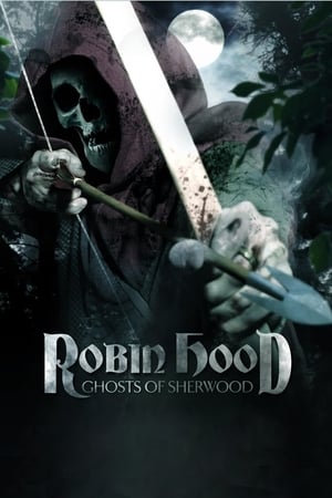 Robin Hood: Ghosts of Sherwood (2012) Hindi Dual Audio 350MB Movie Poster