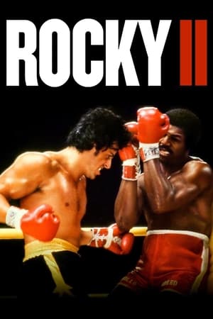 Rocky II (1979) Dual Audio Hindi 400MB Movie Poster