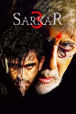 Sarkar 3 2017 350MB Full Movie Download Movie Poster