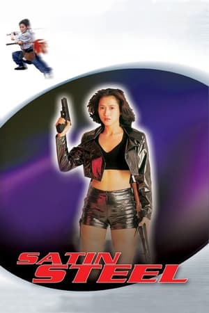 Satin Steel (1994) Hindi Dual Audio [700MB] Movie Poster