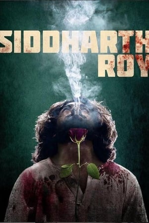 Siddharth Roy 2024 Hindi Dubbed Movie Poster