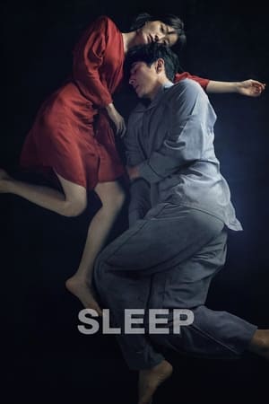 Sleep (2023) Hindi Dual Audio – 720p – Movie Poster