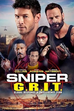 Sniper GRIT Global Response and Intelligence Team 2023 Hindi Dual Audio – 480p
