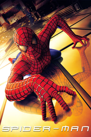 Spider-Man (2002) Hindi Dual Audio [820MB] Movie Poster