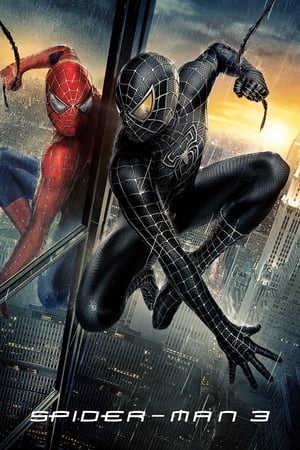 Spider-Man 3 (2007) Movie Hindi Dual Audio [800MB] Movie Poster