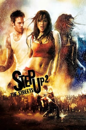 Step Up 2 The Streets 2008 Hindi Dual Audio [700MB] Movie Poster
