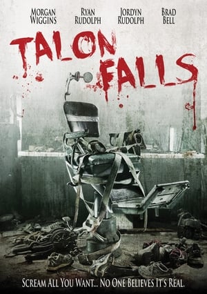Talon Falls (2017) Hindi Dual Audio [1GB]