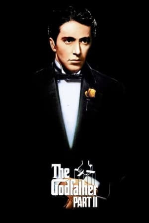 The Godfather Part II (1974) Dual Audio Hindi Full Movie - 1GB Movie Poster