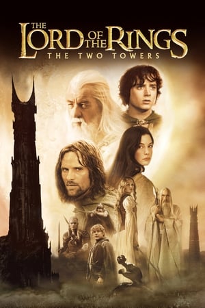 The Lord of the Rings: The Two Towers 2002 Hindi Dual Audio Movie Poster