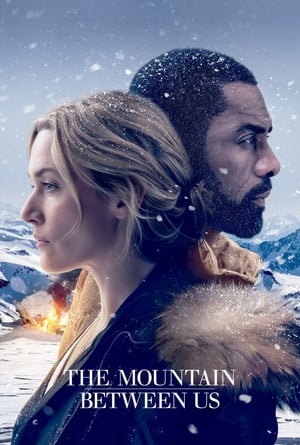The Mountain Between Us 2017 Dual Audio Hindi [180MB] Movie Poster